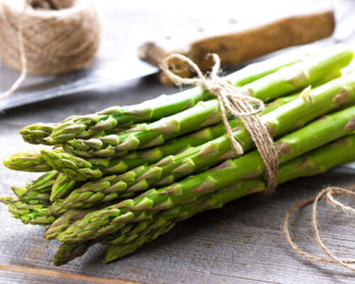 18fcf9bf2e231115beb604c22bb229bf6bf2ccf0-thumb-500xauto-10432