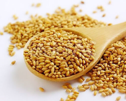 7A39D17B-40C6-4D8C-B5DD-1E8E3DA3FA30