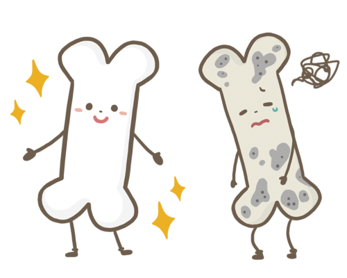 bone-osteoporosis-health