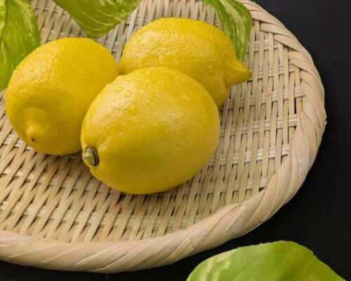 c84ed18e1da3a9d581d9920c95d4bdc0_t