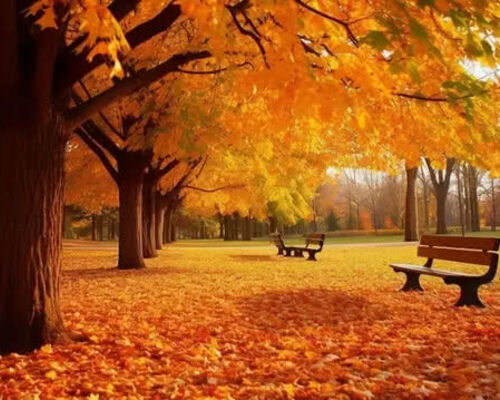 pngtree-autumn-image_2942310