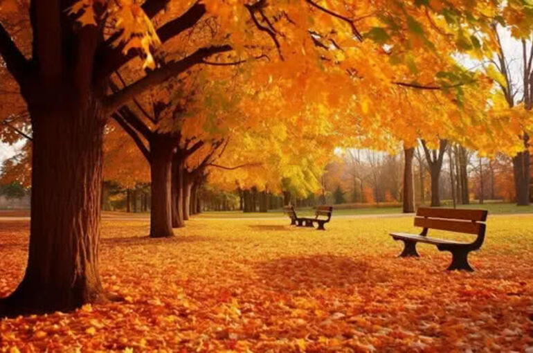 pngtree-autumn-image_2942310