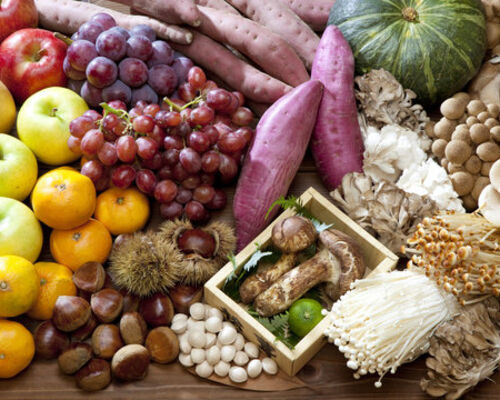 360_F_34057402_A12OaSkssdyizIDkVP5s2wUNbWrE7Ui7