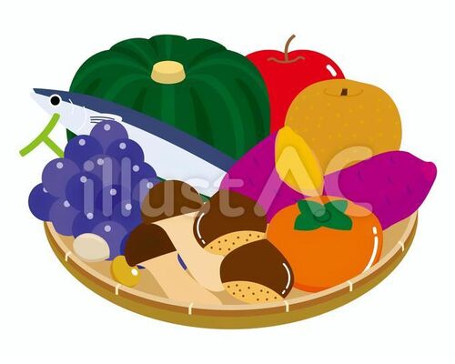 86c311406c70eef03eaa80c24f4031dc_w