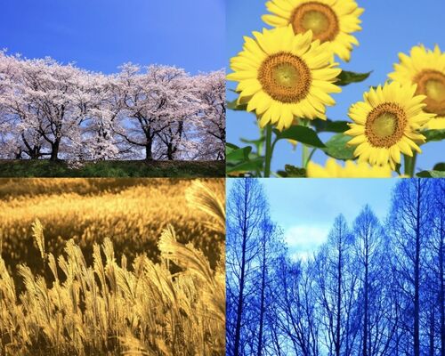 Untitled design - 32