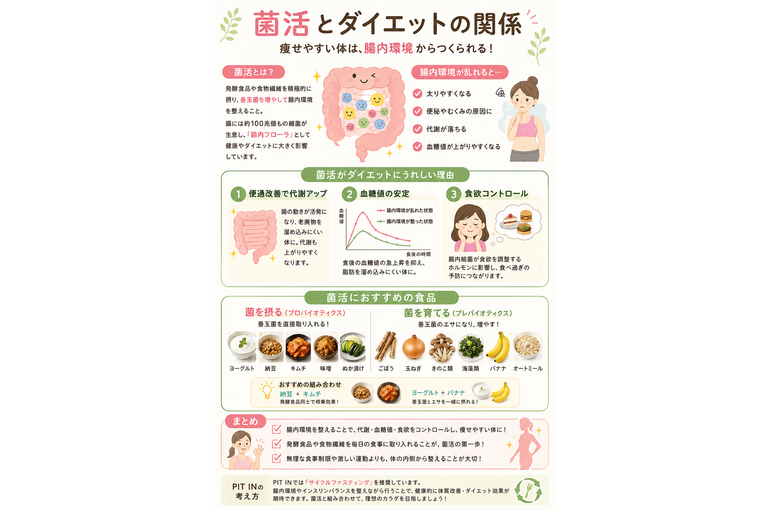 【痩せ菌10倍！スリムボディ実現】植物エクソソームで理想の体型を‼︎ 菌活とダイエットの深い関係 ～痩せやすい身体は腸から作られる